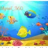 Myreef_360